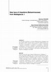 Research paper thumbnail of New taxa of Impatiens (Balsaminaceae) from Madagascar. I