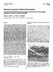 Research paper thumbnail of Membrane assembly in retinal photoreceptors. II. Immunocytochemical analysis of freeze-fractured rod photoreceptor membranes using anti- opsin antibodies