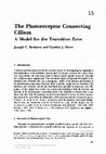 Research paper thumbnail of The Photoreceptor Connecting Cilium A Model for the Transition Zone