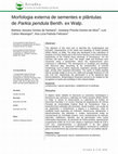 Research paper thumbnail of Morfologia externa de sementes e plântulas de Parkia pendula Benth. ex Walp