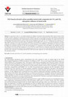 Research paper thumbnail of PAN-based activated carbon nanofiber/metal oxide composites for CO2 and CH4 adsorption: influence of metal oxide