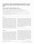 Research paper thumbnail of A steroidogenic cell line with differentiation potential from mouse granulosa cells, transfected with Ad4BP and SV40 large T antigen genes