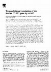 Research paper thumbnail of Transcriptional regulation of the bovine CYP17 gene by cAMP