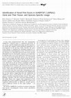 Research paper thumbnail of Identification of Novel First Exons in Ad4BP/SF-1 (NR5A1) Gene and Their Tissue- and Species-Specific Usage