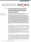 Research paper thumbnail of How spontaneous brain activity and narcissistic features shape social interaction