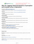 Research paper thumbnail of Why am I lagging? Reduced dynamics of perception and occipital cortex in depression