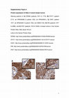 Research paper thumbnail of Figure S5 from Interferon-Stimulated Genes Are Involved in Cross-resistance to Radiotherapy in Tamoxifen-Resistant Breast Cancer