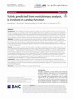 Research paper thumbnail of Yulink, predicted from evolutionary analysis, is involved in cardiac function