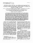 Research paper thumbnail of Rhizobium meliloti 1021 has three differentially regulated loci involved in glutamine biosynthesis, none of which is essential for symbiotic nitrogen fixation