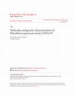 Research paper thumbnail of Molecular and genetic characterization of the rhizopine catabolism (mocABRC) genes of Rhizobium meliloti L5-30