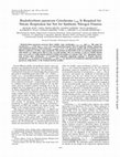 Research paper thumbnail of Bradyrhizobium japonicum cytochrome c550 is required for nitrate respiration but not for symbiotic nitrogen fixation