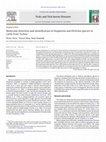 Research paper thumbnail of Molecular detection and identification of Anaplasma and Ehrlichia species in cattle from Turkey