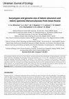 Research paper thumbnail of Karyotypes and genome size of Adonis amurensis and Adonis apennina (Ranunculaceae) from Asian Russia