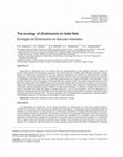 Research paper thumbnail of Ecología de Dickinsonia en llanuras mareales