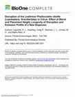 Research paper thumbnail of Disruption of the LeafminerPhyllocnistis citrella(Lepidoptera: Gracillariidae) in Citrus: Effect of Blend and Placement Height, Longevity of Disruption and Emission Profile of a New Dispenser