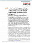 Research paper thumbnail of Cardiac mitochondrial plasticity and thermal sensitivity in a fish inhabiting an artificially heated ecosystem