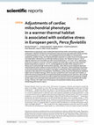 Research paper thumbnail of Adjustments of cardiac mitochondrial phenotype in a warmer thermal habitat is associated with oxidative stress in European perch, Perca fluviatilis