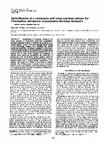 Research paper thumbnail of Identification of a continuous and cross-reacting epitope for Plasmodium falciparum transmission-blocking immunity