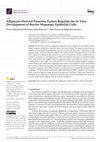 Research paper thumbnail of Adipocyte-Derived Paracrine Factors Regulate the In Vitro Development of Bovine Mammary Epithelial Cells