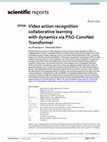 Research paper thumbnail of Video Action Recognition Collaborative Learning with Dynamics via PSO-ConvNet Transformer