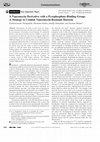 Research paper thumbnail of A Vancomycin Derivative with a Pyrophosphate-Binding Group: A Strategy to Combat Vancomycin-Resistant Bacteria