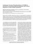 Research paper thumbnail of Gatekeeper Tyrosine phosphorylation of SYMRK is essential for synchronising the epidermal and cortical responses in root nodule symbiosis