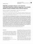 Research paper thumbnail of IFNβ/TNFα synergism induces a non-canonical STAT2/IRF9-dependent pathway triggering a novel DUOX2 NADPH Oxidase-mediated airway antiviral response