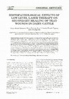 Research paper thumbnail of Histopathological Effects of Low Level Laser Therapy on Secondary Healing of Teat Wounds in Dairy Cattle