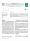 Research paper thumbnail of New hydrogels based on modified chitosan as metal biosorbent agents