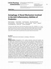 Research paper thumbnail of Autophagy: A Novel Mechanism Involved in the Anti-Inflammatory Abilities of Probiotics