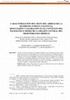 Research paper thumbnail of Caracterización del sílex del Abrigo de la Quebrada (Chelva, Valencia). Resultados y valoración en el contexto del Paleolítico Medio de la región central del Mediterráneo ibérico