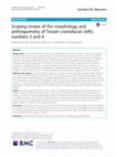 Research paper thumbnail of Scoping review of the morphology and anthropometry of Tessier craniofacial clefts numbers 3 and 4