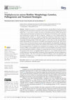 Research paper thumbnail of Staphylococcus aureus Biofilm: Morphology, Genetics, Pathogenesis and Treatment Strategies