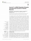 Research paper thumbnail of hsa-let-7c miRNA Regulates Synaptic and Neuronal Function in Human Neurons