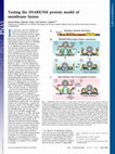 Research paper thumbnail of Testing the SNARE/SM protein model of membrane fusion