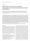 Research paper thumbnail of Different Effects on Fast Exocytosis Induced by Synaptotagmin 1 and 2 Isoforms and Abundance But Not by Phosphorylation