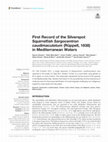 Research paper thumbnail of First Record of the Silverspot Squirrelfish Sargocentron caudimaculatum (Rüppell, 1838) in Mediterranean Waters