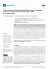 Research paper thumbnail of N-Acetylaspartyl-Glutamate Metabolism in the Cingulated Cortices as a Biomarker of the Etiology in ASD: A 1H-MRS Model