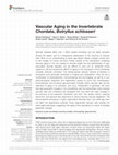 Research paper thumbnail of Vascular Aging in the Invertebrate Chordate, Botryllus schlosseri