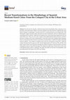 Research paper thumbnail of Recent Transformations in the Morphology of Spanish Medium-Sized Cities: From the Compact City to the Urban Area