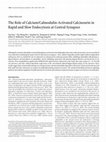 Research paper thumbnail of The Role of Calcium/Calmodulin-Activated Calcineurin in Rapid and Slow Endocytosis at Central Synapses