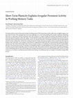 Research paper thumbnail of Systems/Circuits Short-Term Plasticity Explains Irregular Persistent Activity in Working Memory Tasks