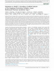 Research paper thumbnail of Mutations in ANAPC1, Encoding a Scaffold Subunit of the Anaphase-Promoting Complex, Cause Rothmund-Thomson Syndrome Type 1