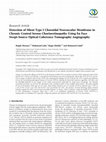 Research paper thumbnail of Detection of Silent Type I Choroidal Neovascular Membrane in Chronic Central Serous Chorioretinopathy Using En Face Swept-Source Optical Coherence Tomography Angiography