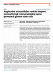 Research paper thumbnail of Angiocrine extracellular vesicles impose mesenchymal reprogramming upon proneural glioma stem cells