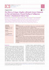 Research paper thumbnail of The Effects of Ginger (<i>Zingiber officinale</i>) Extract Ointment on Pain and Episiotomy Wound Healing in Nulliparous Women: A Randomized Clinical Trial