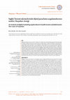 Research paper thumbnail of Sağlık Turizmi İşletmelerinde Dijital Pazarlama Uygulamalarının Analizi: Kuşadası Örneği