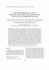 Research paper thumbnail of Ảnh hưởng của luân canh lúa-dưa hấu đến độ hữu dụng của đạm, lân trong đất và năng suất lúa trên nền đất phèn tại tỉnh Hậu Giang