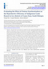 Research paper thumbnail of Evaluating the Effect of Oestrus Synchronization on the Reproductive Efficiency of Indigenous Goats Reared in two districts of Gamo Zone, South Ethiopia