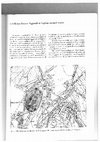 Research paper thumbnail of Poggiarello di Stigliano: Necropoli Etrusca